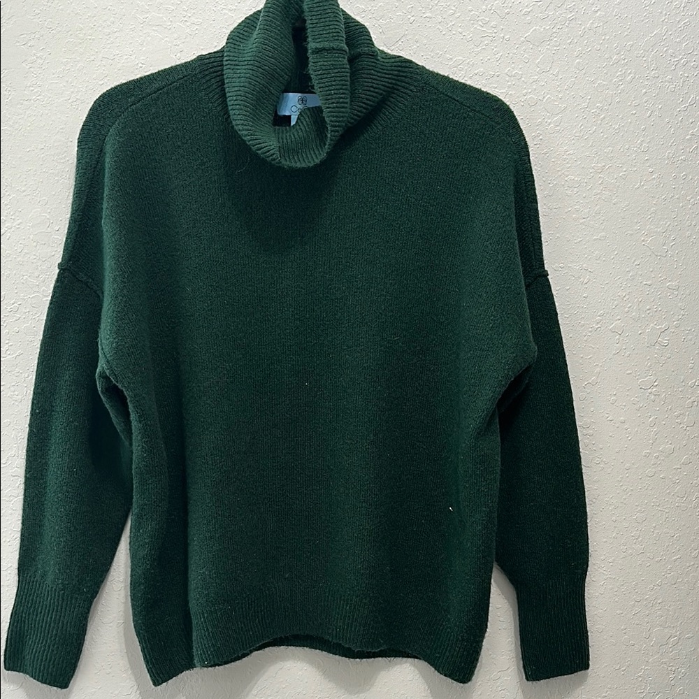 Dark Green Turtleneck Sweater